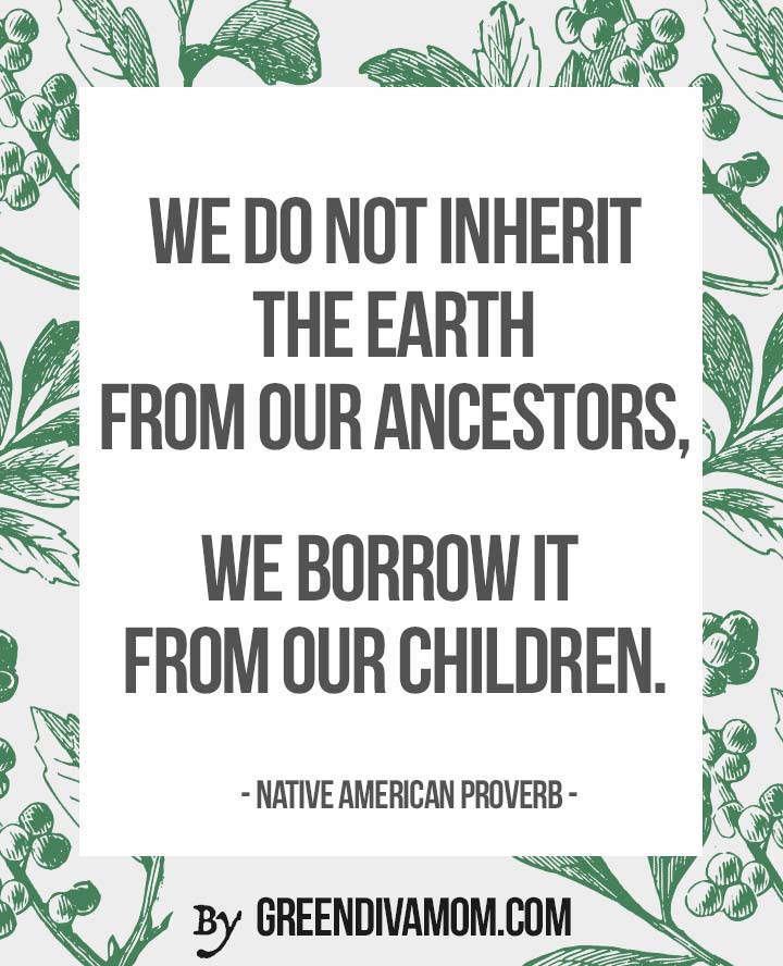 we do not inherit the earth from our ancestors, we borrow it from our children